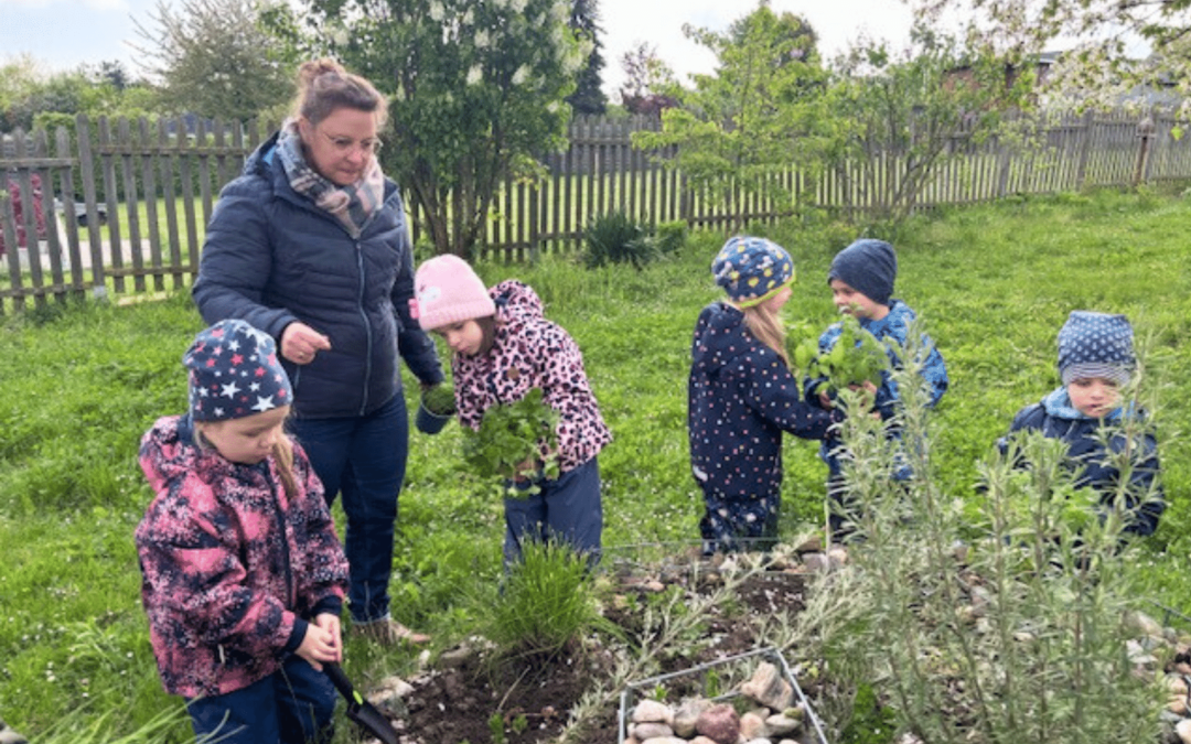 Minigärtner pflanzen unsere frischen Kräuter