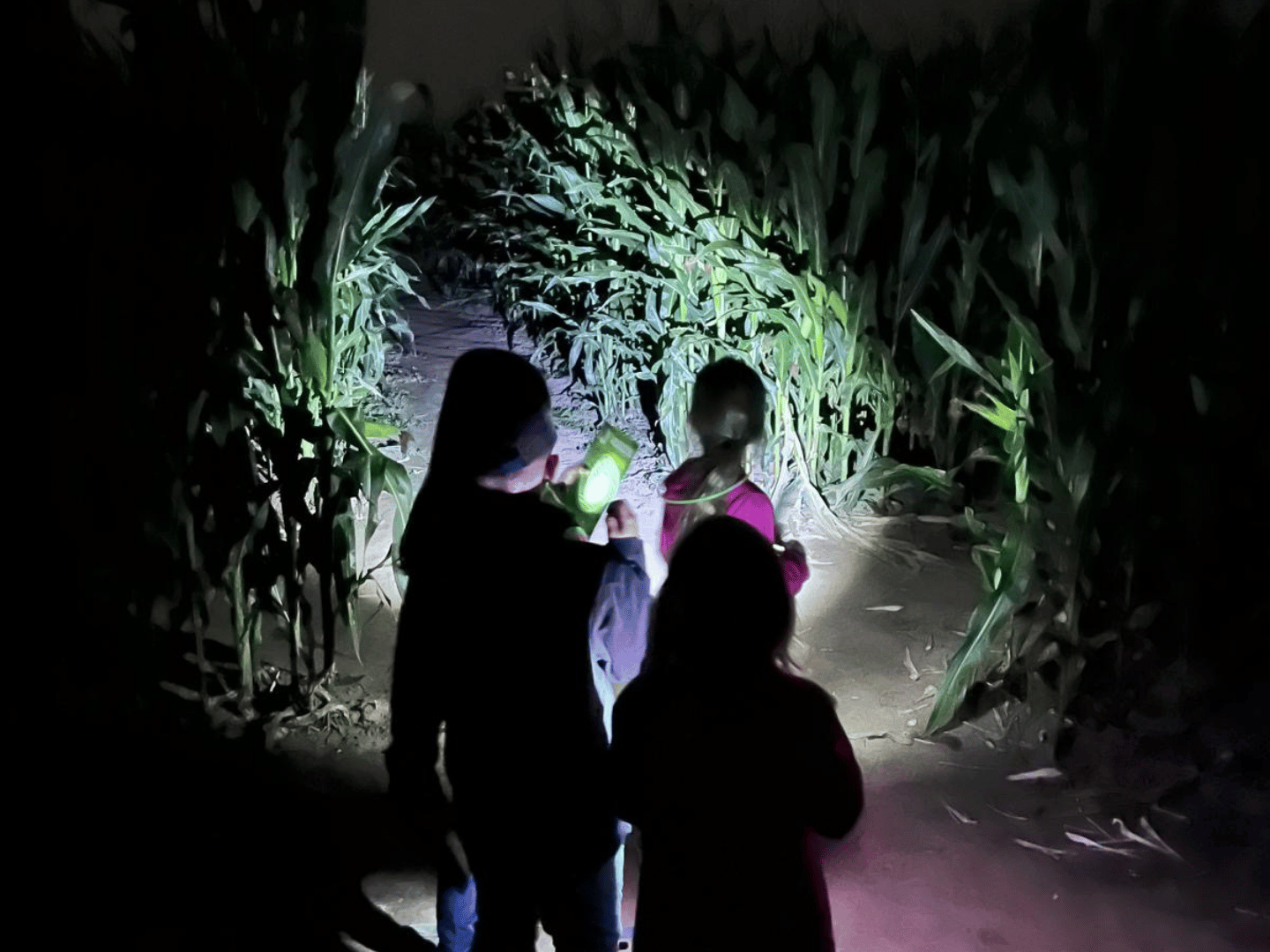 082025_Maislabyrinth (2)