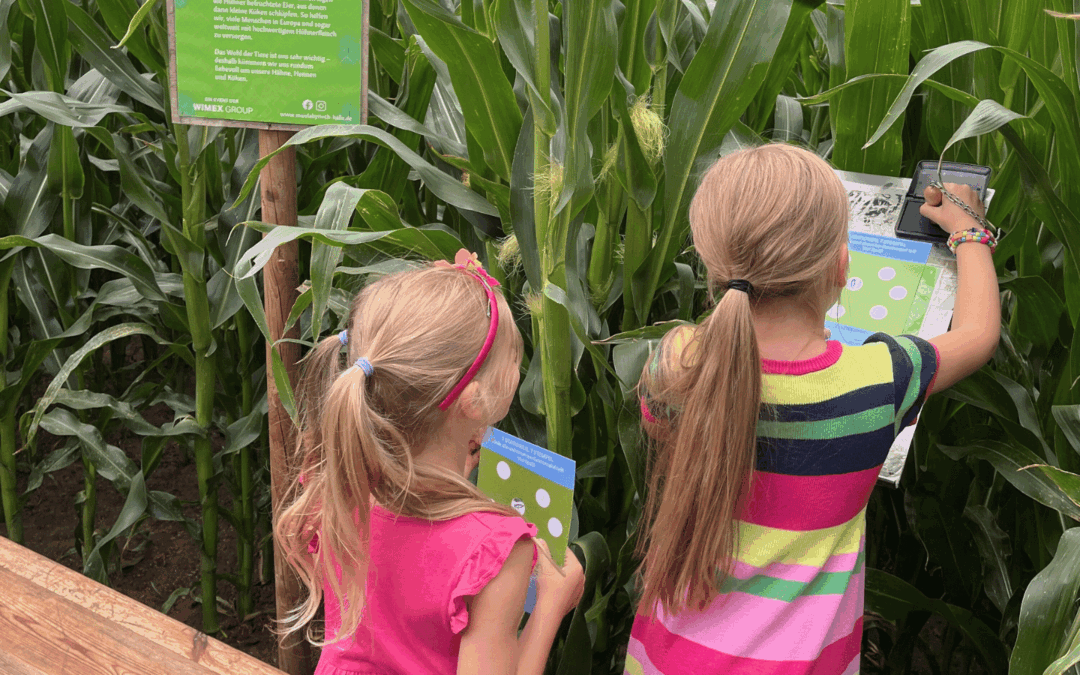 Magische Mondnacht im Maislabyrinth
