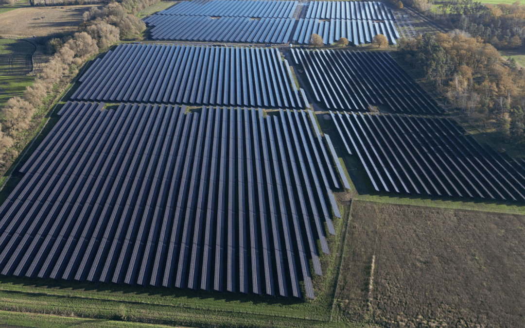 In Reppichau wird jetzt Solarstrom für die Region produziert