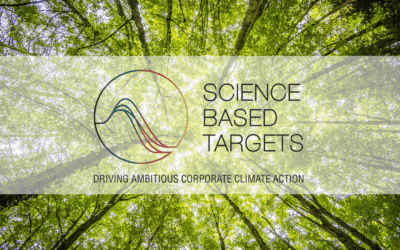 Unser SBTi-Commitment: Ein weiterer Schritt für wirksamen Klimaschutz