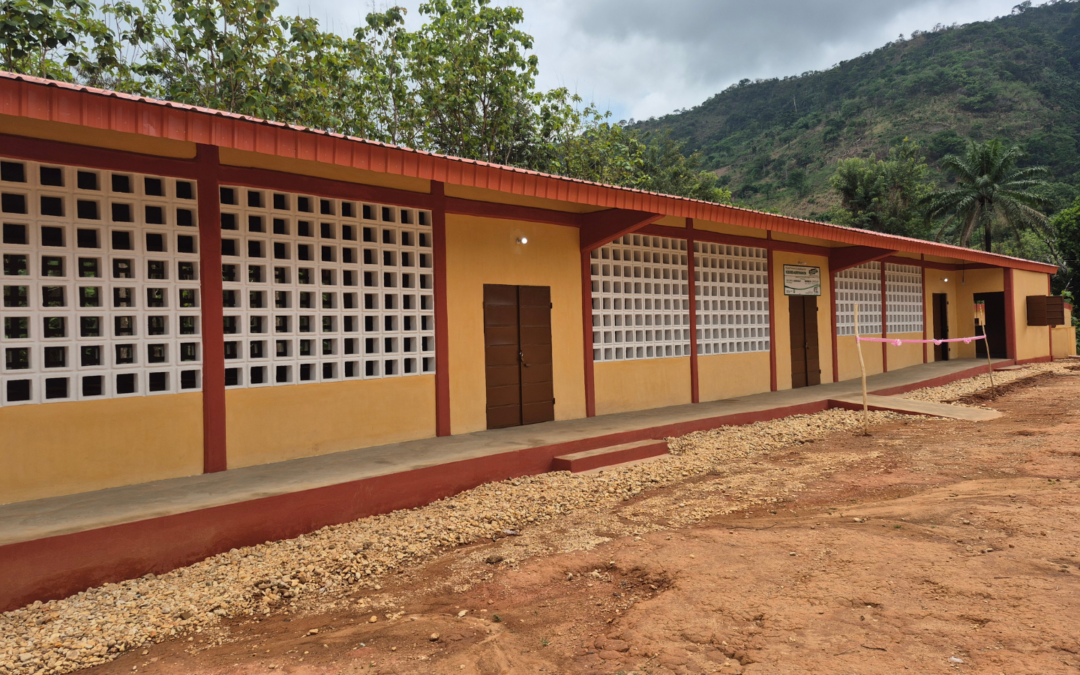 Mehr als nur ein Irrgarten: Unser Maislabyrinth 2024 ermöglichte den Bau einer neuen Schule