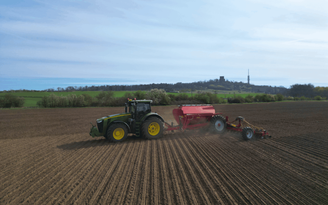 Unser Maislabyrinth Halle geht in eine neue Runde