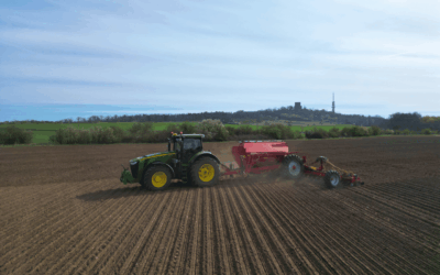 Unser Maislabyrinth Halle geht in eine neue Runde